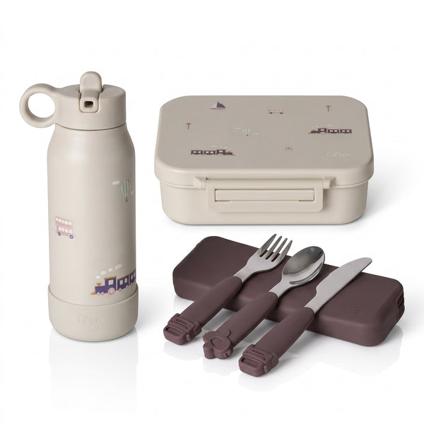 Set Citron Gustarea Completă – Design Vehicule
