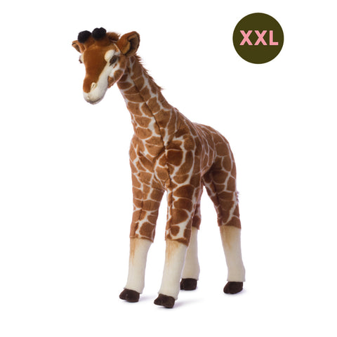 🎄Magia Crăciunului într-un Cadou Premium – Aventuri Sălbatice și Confort Cald🎁, 6-10 ani